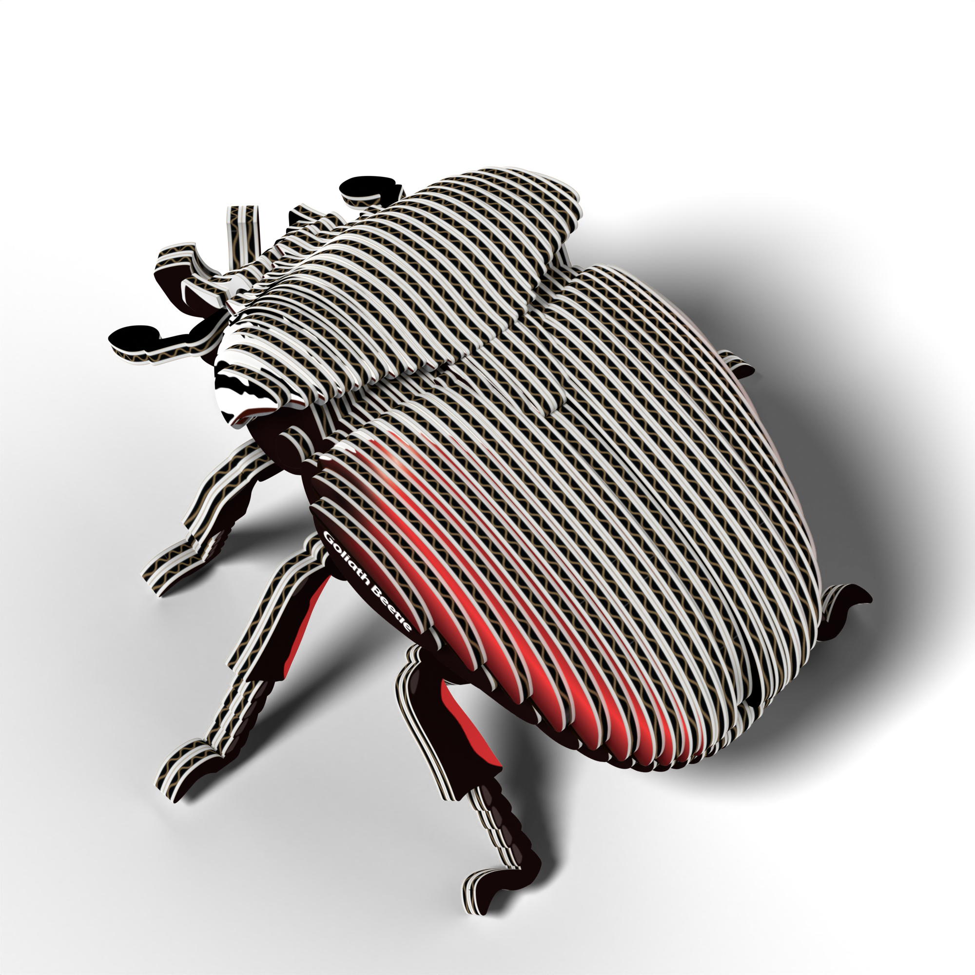 EUGY Goliath Beetle 3D puzzle constructed from eco-friendly biodegradable cardboard with authentic insect markings — view 5