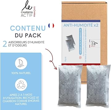 Anti-humidité et anti-odeur au charbon actif végétal : purificateur d'air , déshumidificateur X2-1