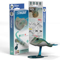 Stingray 3D puzzle built from eco-friendly biodegradable cardboard on a display stand