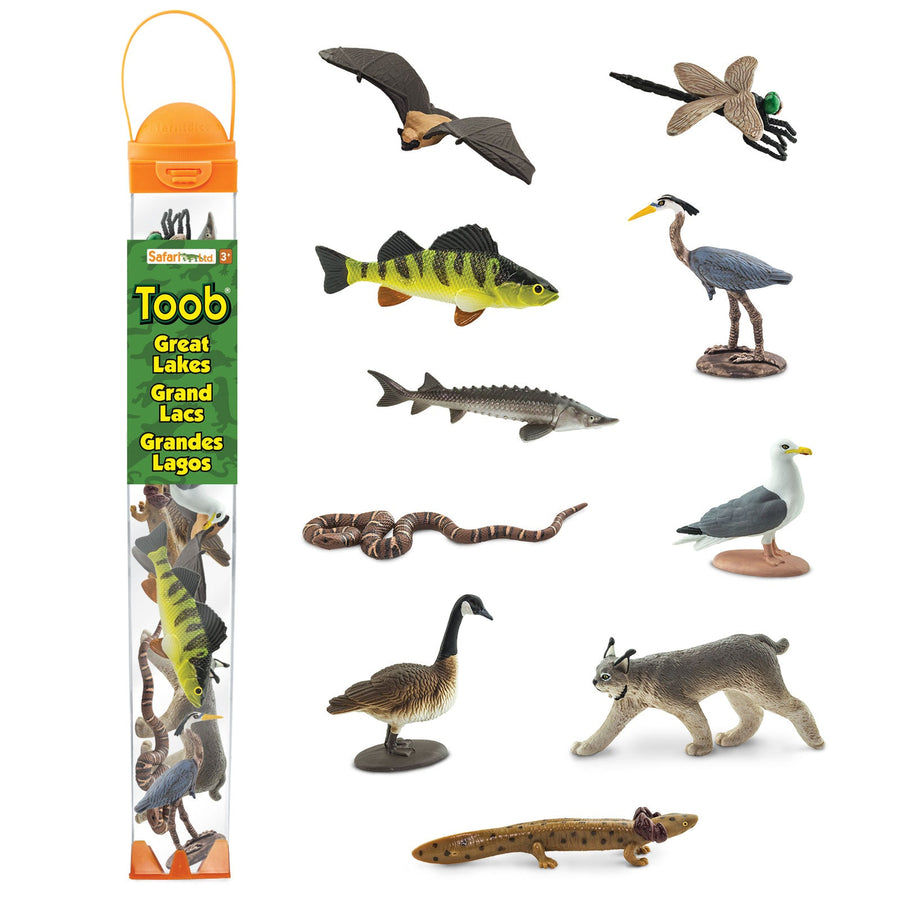 Great Lakes TOOB®
