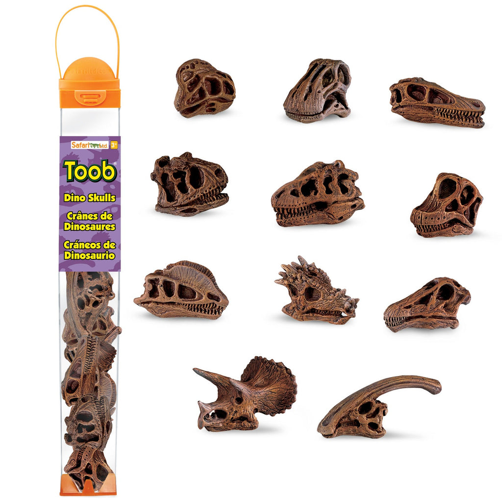 Dinosaur Skull Toy TOOB®-0
