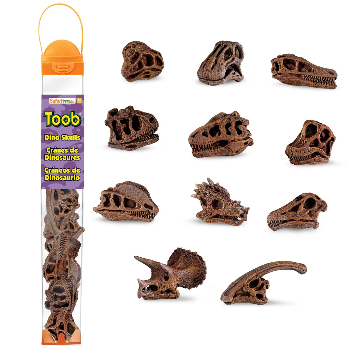 Dinosaur Skull Toy TOOB®-0