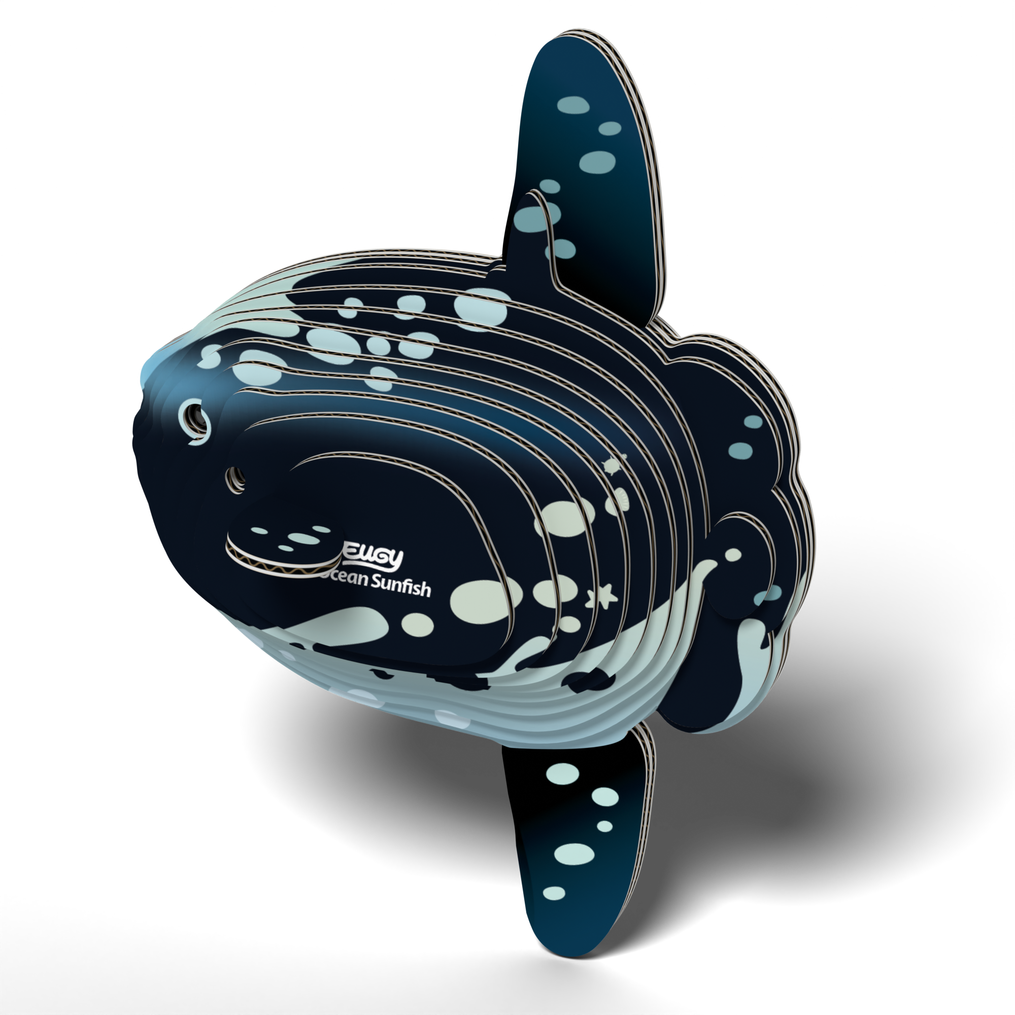 Ocean Sunfish 3D puzzle assembled showing tall fins and spotted pattern from eco-friendly cardboard — view 5