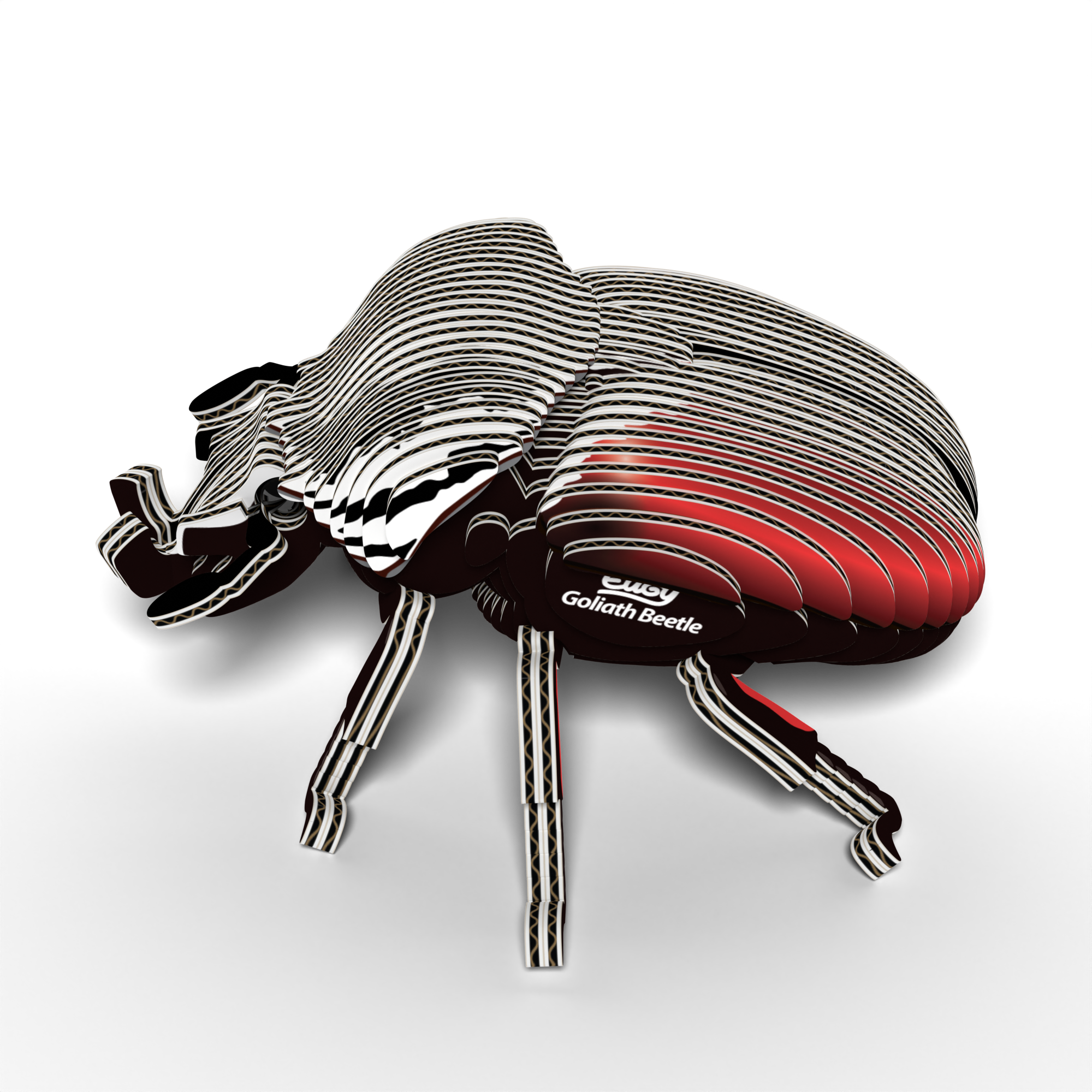 EUGY Goliath Beetle 3D puzzle constructed from eco-friendly biodegradable cardboard with authentic insect markings — view 4